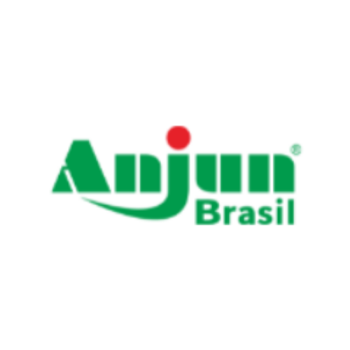 Anjun Brasil